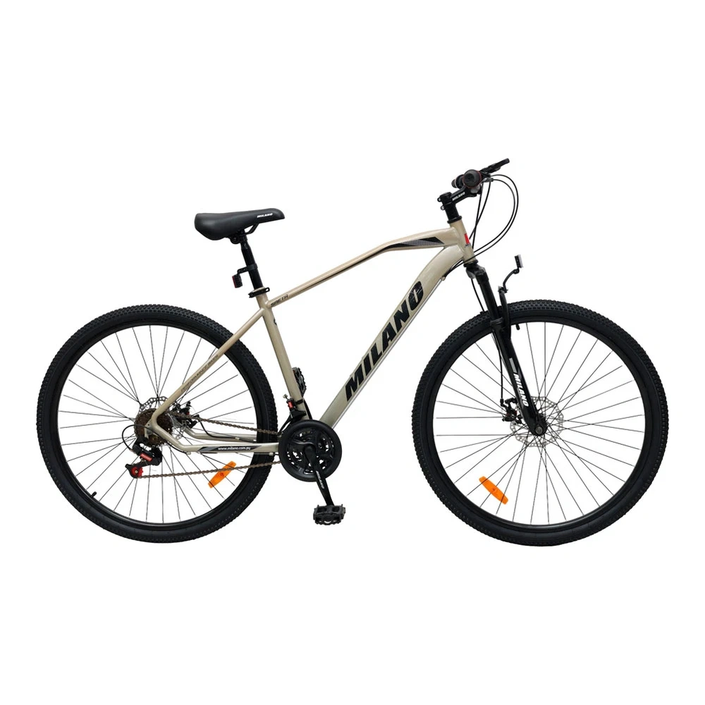 BICICLETA MILANO SAETA 29 PLATA