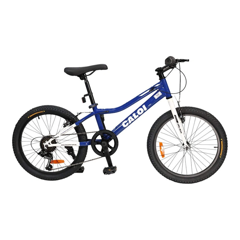 BICICLETA CALOI NEW RIDERECHO20" 6V AZUL