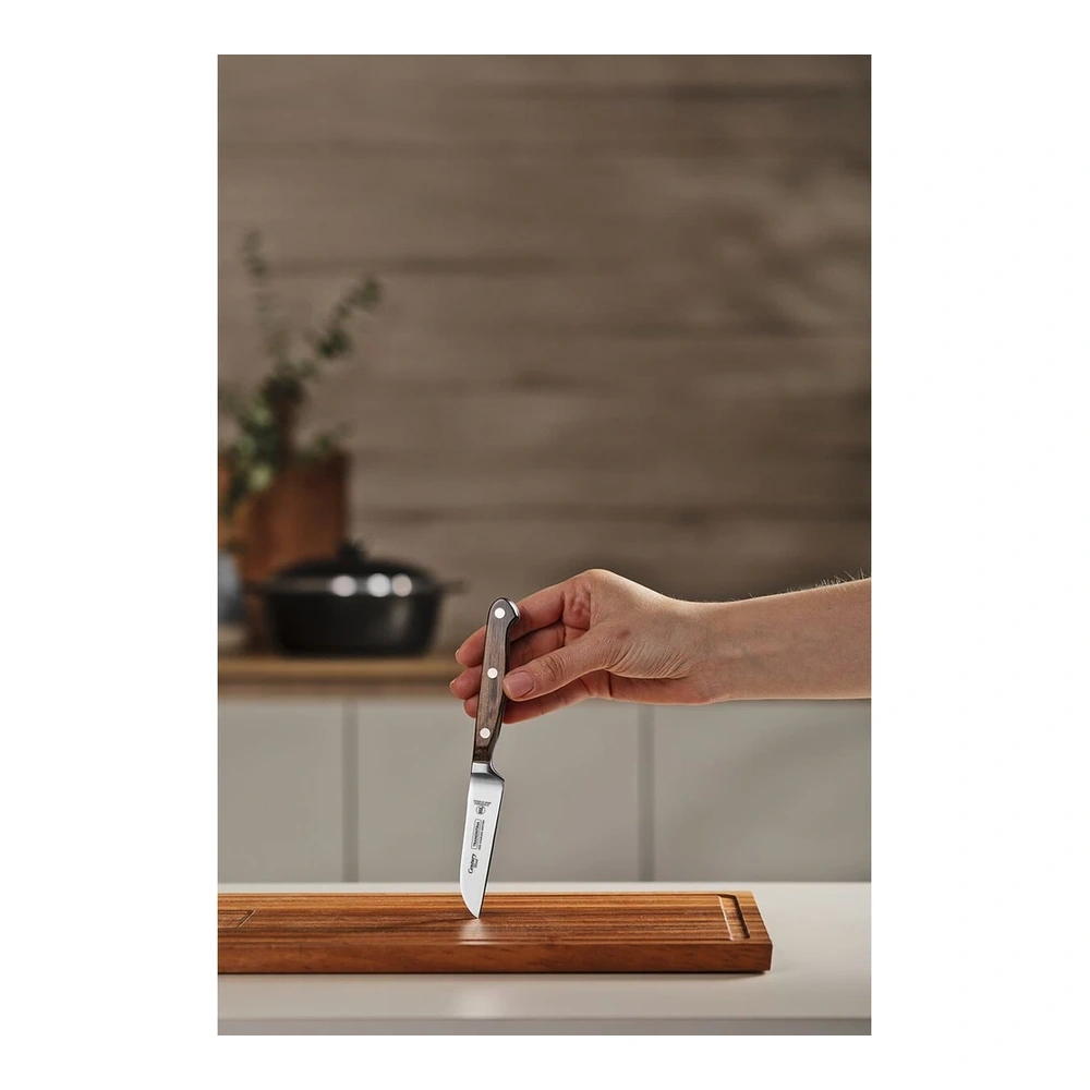 CUCHILLO LEGUMBRES 3 CENTURY OOD TRAMONTINA T215301 4
